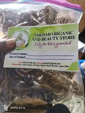 Rose of Jericho