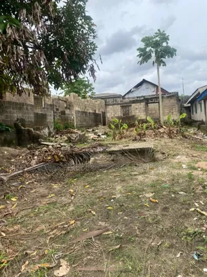 Half Plot of Land at Ten Ten Estate Akeja