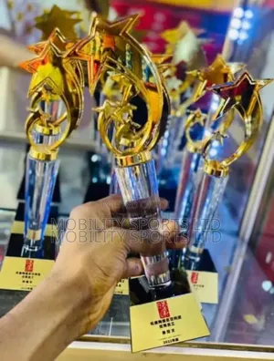 Award Of Excellence