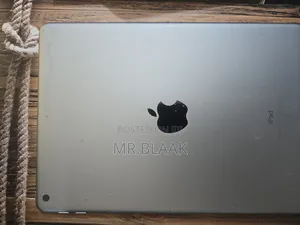 Apple iPad Wi-Fi 128 GB Gray
