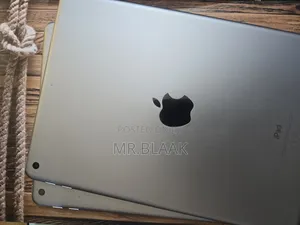 Apple iPad Wi-Fi 128 GB Gray