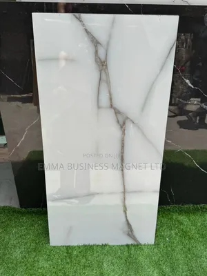60x120 High Quality New Arrivals India Floor Tiles 