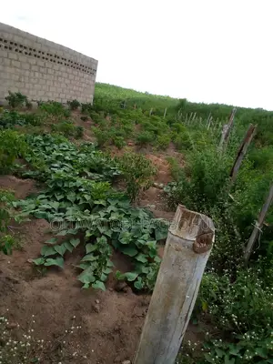 Photo - Farm Land for Sale