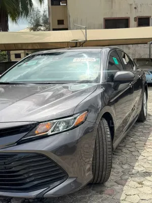 Toyota Camry LE (2.5L 4cyl 8A) 2019 Gray