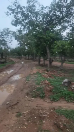 5 Hectares Available in Kagini With Cofo 1.2b