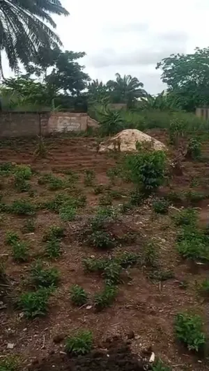 An Accessible Land for Sale