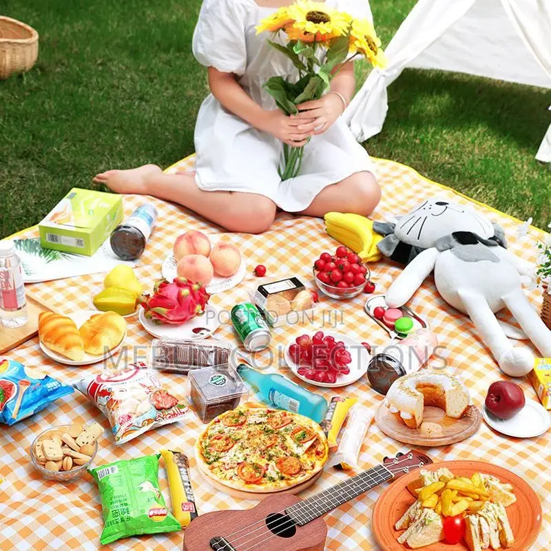 Waterproof Picnic Mat