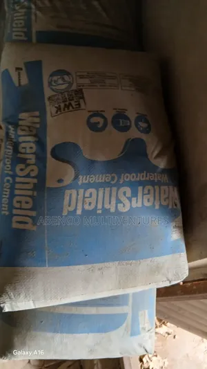 Large Cement/Watershield Cement for Your Solid Building