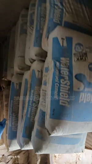 Large Cement/Watershield Cement for Your Solid Building