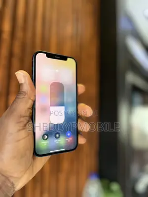 Apple iPhone 12 64 GB Blue