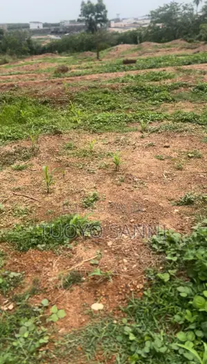 350sqm Fcda Approved Land in Kabusa Abuja