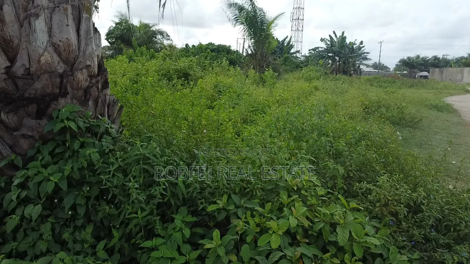Prime 850sqm Land