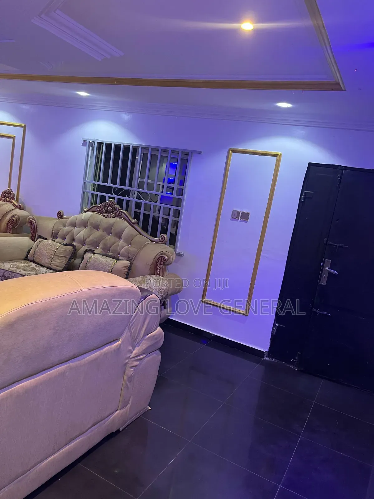 Professional Cleaning Services