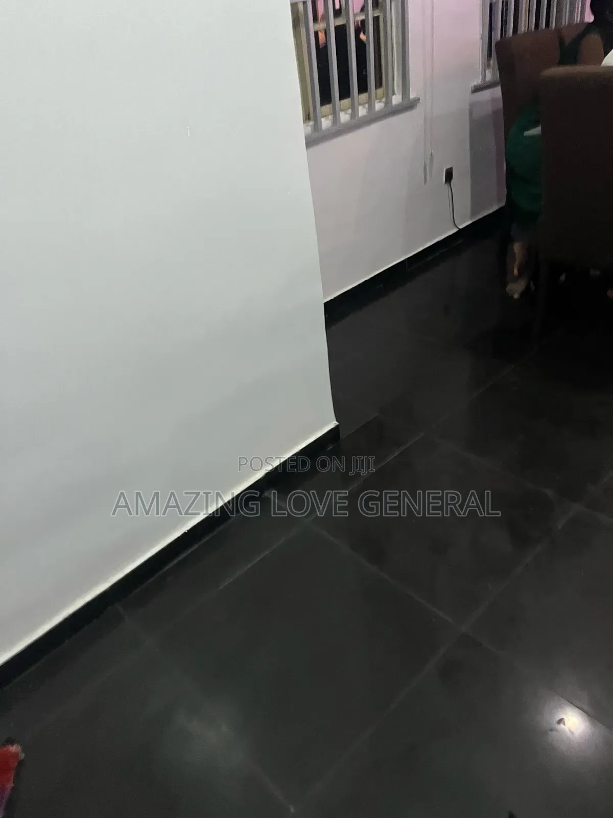 Professional Cleaning Services