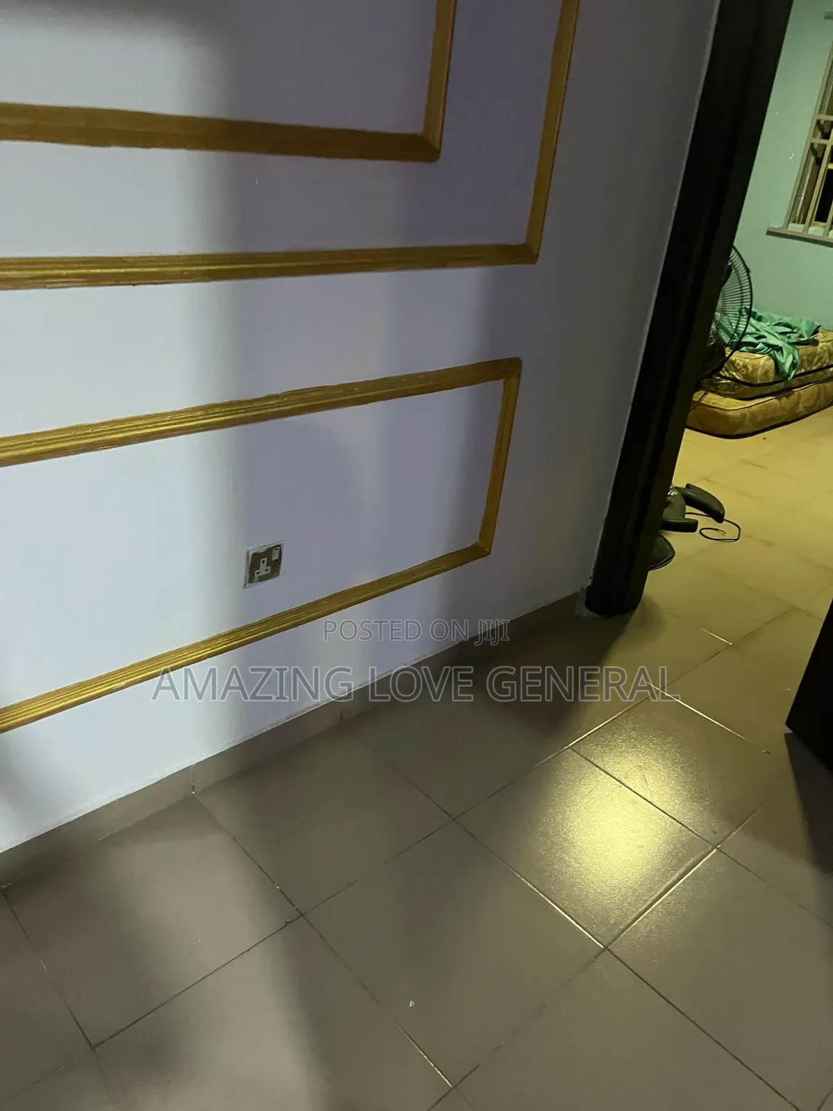 Professional Cleaning Services