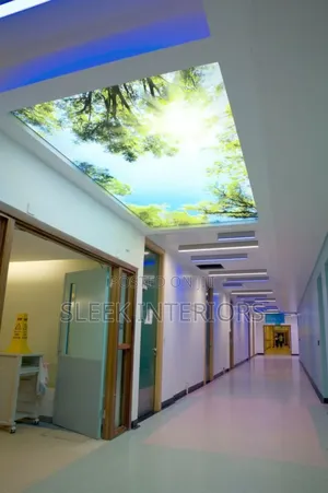 Supper Effect Stretch Ceiling
