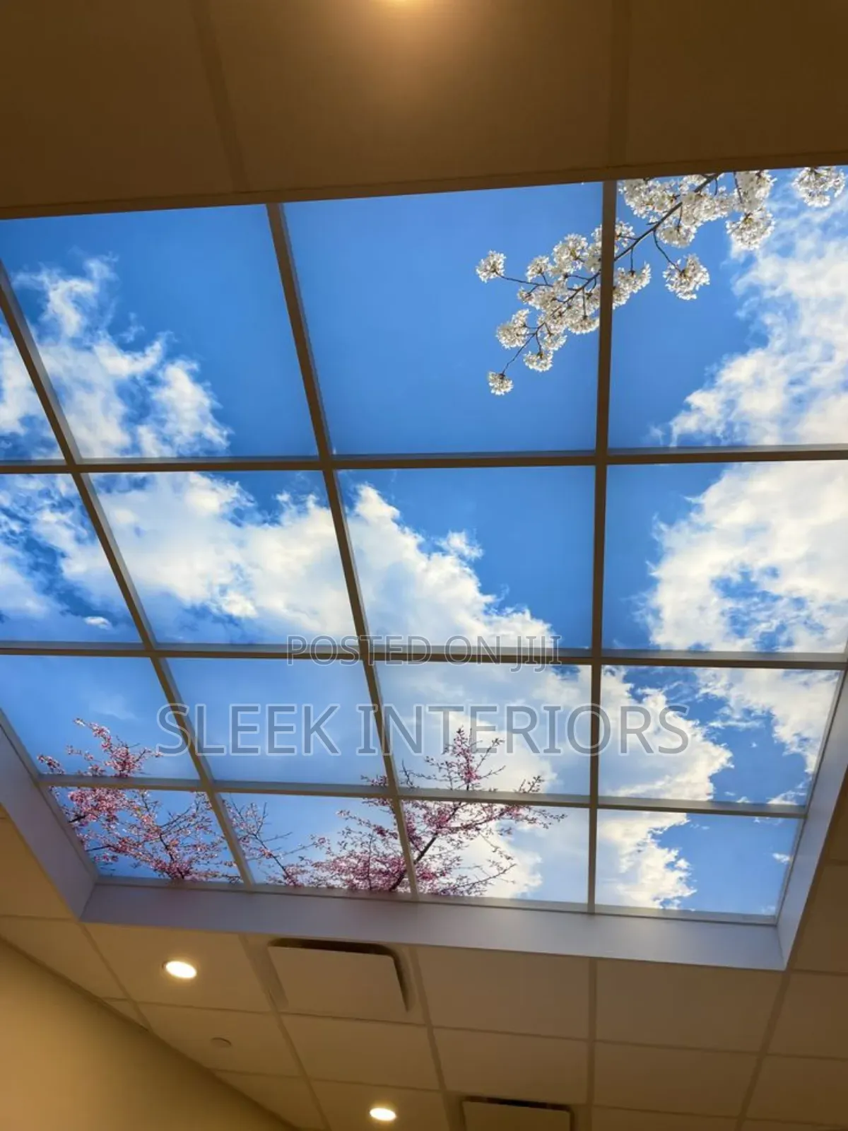 Special Effect Stretch Ceilings