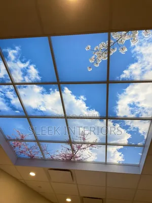 Special Effect Stretch Ceilings