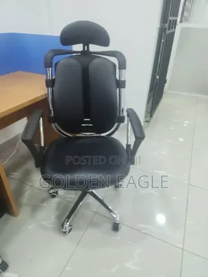 Ergonomic Chair Kidney