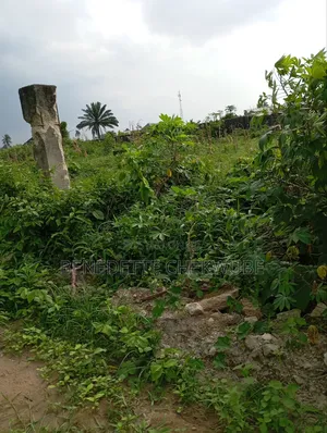 For Sale:30 Plots for Sale