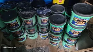 Kingstone's Paints.