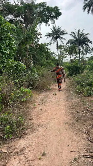 1500 Acres Of Land For Sale At Abeokuta At Cheaper Rate