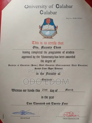 The Above Item Is a Soft Copy of My Degree Certificate