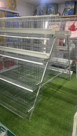160 Birds Capacity Cage Available (20 Years Warranty)