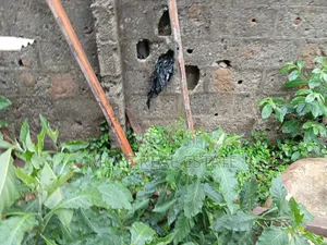 35ft by 100ft Plot 4 Sale Ilepo Ekoro Lagos State