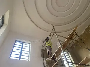 Proffesional House Paintings/ Wall Screeding