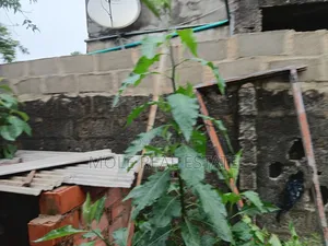 8 300sqm (13 Plots) Shasha Near Airforce Base Alimosho