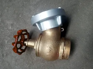 Fire Hydrant 2"