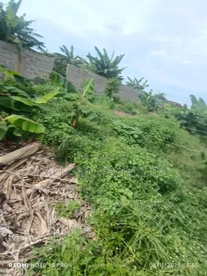 Half Plot of Land on a Tarred Road