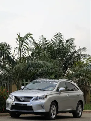 Lexus RX 2010 Silver