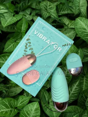 Battery Egg Vibrator
