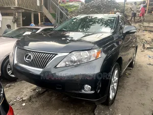 Lexus RX 350 2010 Gray
