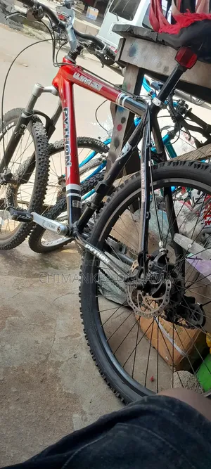 Belgium Bicycle Size 26
