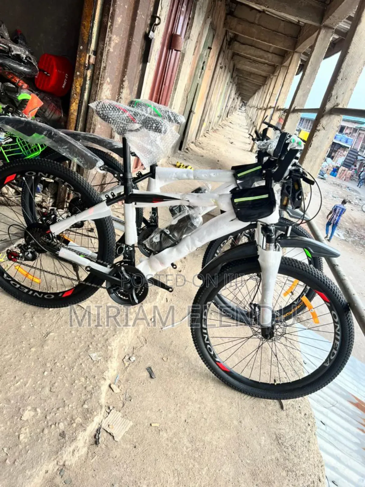 Adult Bicycle
