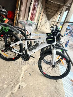 Adult Bicycle