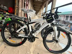 Adult Bicycle