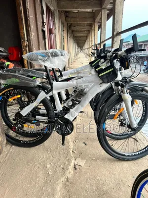 Adult Bicycle