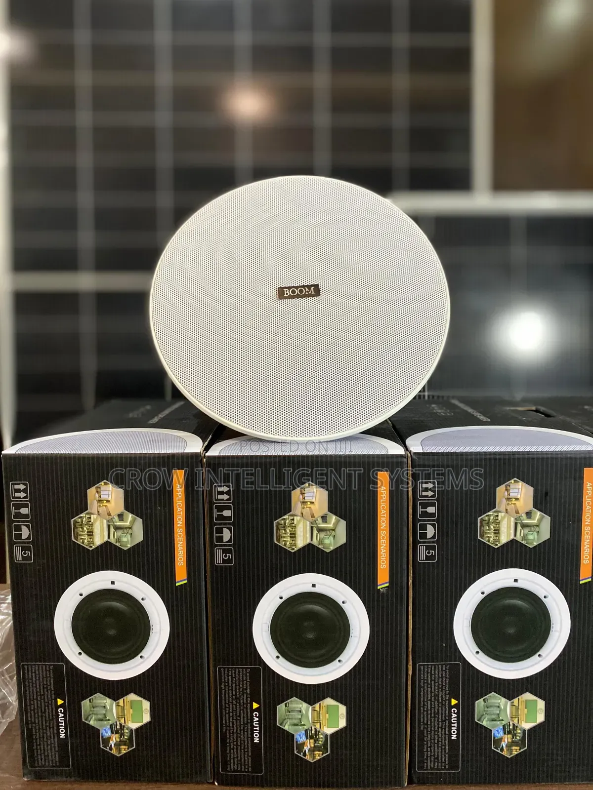 Ceiling Speaker