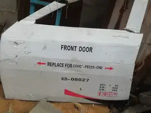 Front Door Honda Civic 2024
