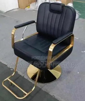 High Quality Imported Salon Chair