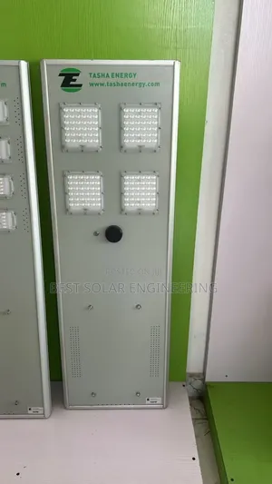 100w Solar Street Light (Tasha Energy )