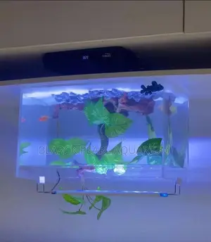 Portable Imported and Local Aquarium Design