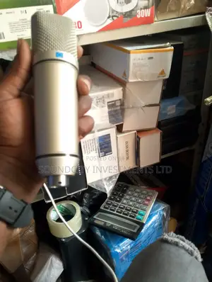 Behringer C1 Studio Microphone.