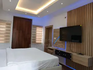 Furnished Studio Apartment in Garki 2 for rent