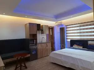 Furnished Studio Apartment in Garki 2 for rent