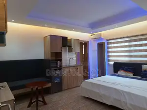 Furnished Studio Apartment in Garki 2 for rent